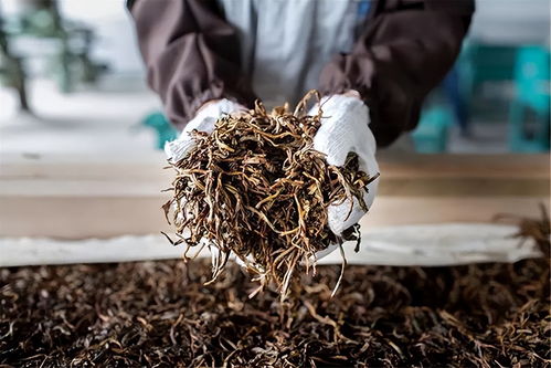 普洱茶存放防潮防霉方法,如何保护普洱茶不受潮气和霉菌的影响